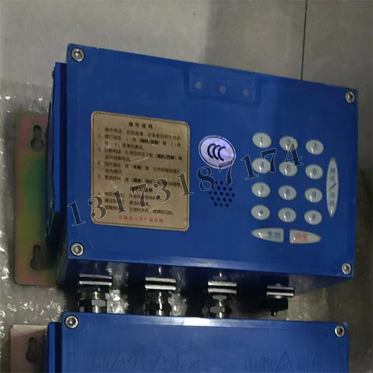 上海山源KTK18(C)礦用本安型擴(kuò)音電話(huà)-1.jpg